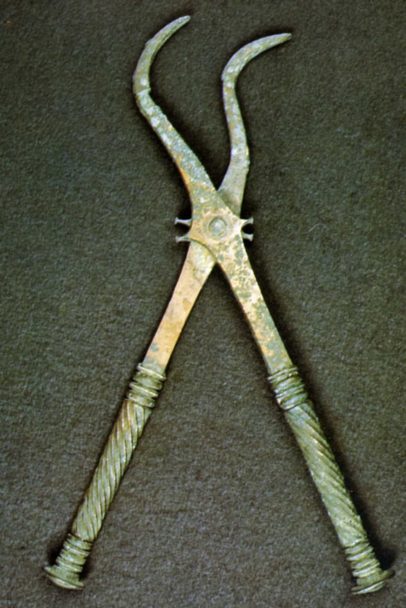 -79 Forceps Pompei .jpg